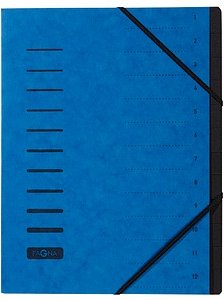 PAGNA Ordnungsmappe Ordnungsmappen 12 Fächer blau, 1 St.