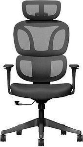 FlexiSpot Bürostuhl BS5BB Stoff schwarz, Gestell schwarz