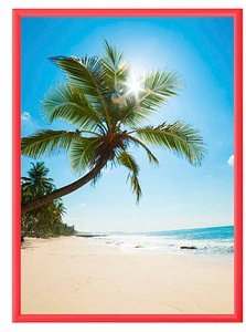 Thumbnail - Showdown® Displays Klapprahmen rot 45,1 x 62,5 cm, 1 St.