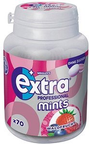 extra® Extra Professional Mints Waldfrucht Bonbons 70 St.