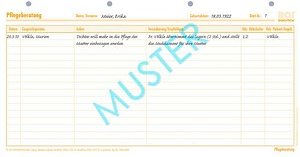 BOI Pflegeberatung Formulare, 50 St.