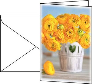 SIGEL Grußkarten Ranunculus DS104 DIN A6, 10 St.