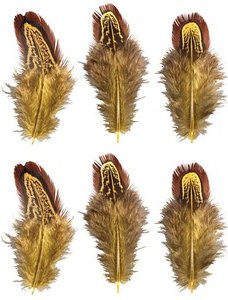 Rayher Federn gelb, 6 St.