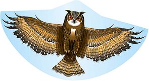 Thumbnail - Günther® Flugdrachen Eule mehrfarbig, 1 St.