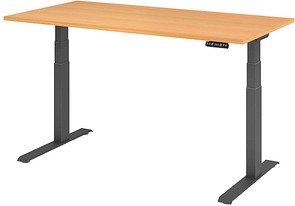 HAMMERBACHER XDKB16 elektrisch höhenverstellbarer Schreibtisch buche rechteckig, C-Fuß-Gestell grau 160,0 x 80,0 cm