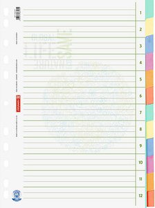 BRUNNEN Ordnerregister Recycling DIN A4 Vollformat blanko beige 12-teilig, 1 St.