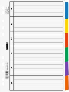 BRUNNEN Ordnerregister DIN A4 Vollformat blanko weiß 6-teilig, 1 St.