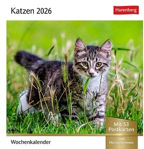 Harenberg Postkartenkalender Katzen 2026, 1 St.