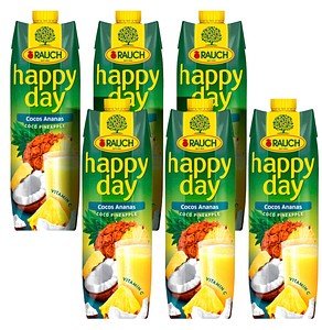 happy day Fruchtsaftkonzentrat Ananas, Kokos 6x 1,0 l
