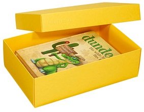 2 BUNTBOX L Geschenkboxen 3,6 l gelb 26,6 x 17,2 x 7,8 cm