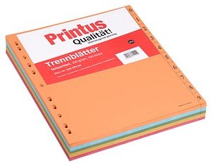 Printus Trennblätter DIN A4 0-9, 250 g/qm, 100 Blatt