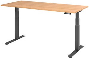 HAMMERBACHER XDKB19 elektrisch höhenverstellbarer Schreibtisch eiche rechteckig, C-Fuß-Gestell grau 180,0 x 80,0 cm