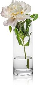 RONA Vase Ambiente transparent