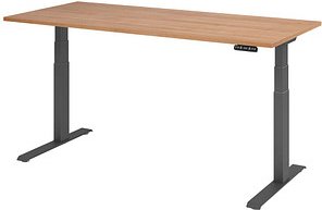HAMMERBACHER XDKB19 elektrisch höhenverstellbarer Schreibtisch nussbaum rechteckig, C-Fuß-Gestell grau 180,0 x 80,0 cm