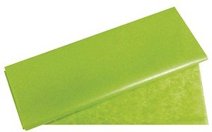 Rayher Seidenpapier Modern hellgrün, 50,0 x 75,0 cm