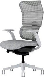 Thumbnail - FlexiSpot Bürostuhl BS8 Pro Stoff grau, Gestell grau