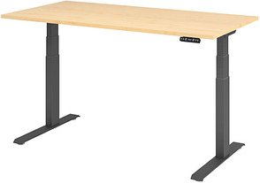 HAMMERBACHER XDKB16 elektrisch höhenverstellbarer Schreibtisch ahorn rechteckig, C-Fuß-Gestell grau 160,0 x 80,0 cm