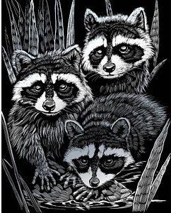 PRACHT® Creatives Kratzbild Waschbären silber