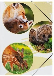 PAGNA Eckspanner Native DIN A3 Waldtiere, 1 St.