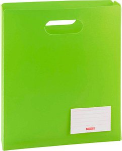 BRUNNEN Heftbox FACT!pp 5 cm grün