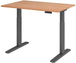 HAMMERBACHER XMKA12 elektrisch höhenverstellbarer Schreibtisch nussbaum rechteckig, C-Fuß-Gestell grau 120,0 x 80,0 cm