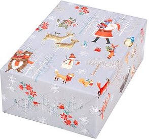 JUNG SCHÖNER VERPACKEN Geschenkpapier Aberdeen mehrfarbig, 20,0 m