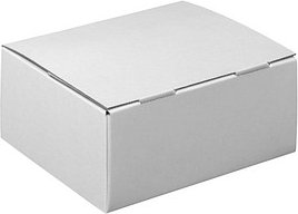 Nestler Versandkartons Pack-Set S 25,0 x 17,5 x 10,0 cm, 20 St.