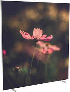 PAPERFLOW Trennwand easyScreen Garden Factory, 61117 bunt 160,0 x 173,4 cm, 1 St.