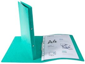 Exacompta Ringbuch 2-Ringe grün 2,0 cm DIN A4, 1 St.