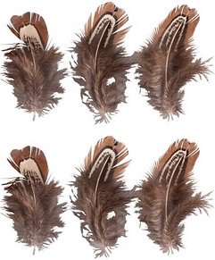 Rayher Federn braun, 6 St.