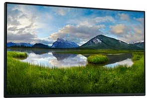 DELL P2425HWO Monitor 61,0 cm (24,0 Zoll) schwarz