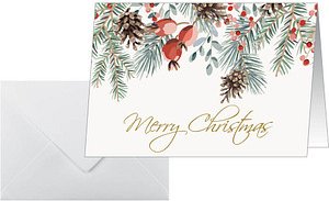 25 SIGEL Weihnachtskarten Red Berries and pine Cones DIN A6