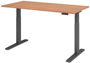 HAMMERBACHER XMKA16 elektrisch höhenverstellbarer Schreibtisch nussbaum rechteckig, C-Fuß-Gestell grau 160,0 x 80,0 cm