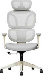 FlexiSpot Bürostuhl BS5WG Stoff grau, Gestell schwarz