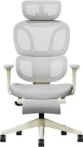 FlexiSpot Bürostuhl BS5LG-PRO Stoff grau, Gestell schwarz