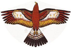 Günther® Flugdrachen Goldadler mehrfarbig, 1 St.