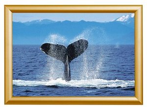 Showdown® Displays Klapprahmen gold 24,1 x 32,8 cm, 1 St.