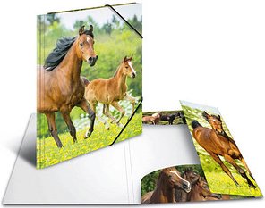 Thumbnail - HERMA Sammelmappen DIN A4 Pferde, 3 St.