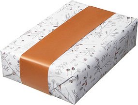 JUNG SCHÖNER VERPACKEN Geschenkpapier Winter Wonderland Waldtiere mehrfarbig beidseitig bedruckt, 20,0 m