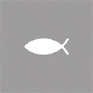 Rayher Motivlocher Fisch