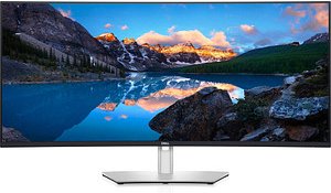 DELL U4021QW Curved Monitor 101,0 cm (40,0 Zoll) silber