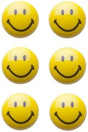 Zeller Magnete Motiv, Kunststoff Ø 3,0 x 1,5 cm, 6 St.