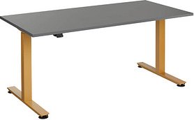 HAMMERBACHER XMST16 elektrisch höhenverstellbarer Schreibtisch grafit rechteckig, T-Fuß-Gestell gold 160,0 x 80,0 cm