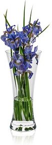 RONA Vase Ambiente transparent