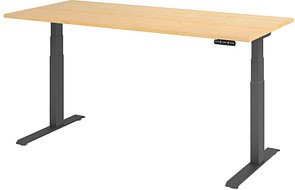 HAMMERBACHER XDKB19 elektrisch höhenverstellbarer Schreibtisch ahorn rechteckig, C-Fuß-Gestell grau 180,0 x 80,0 cm