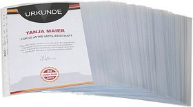 Thumbnail - 100 LEITZ Prospekthüllen 4770 DIN A4 glasklar glatt 0,08 mm