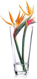 RONA Vase Ambiente transparent