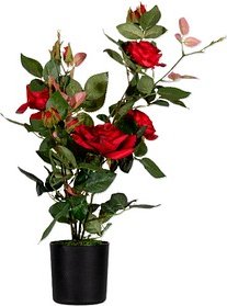 Thumbnail - meet powered by PAPERFLOW ROSENSTOCK Kunstpflanze 54,0 cm