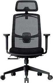 FlexiSpot Bürostuhl Office Premium YZ03 Stoff schwarz, Gestell schwarz