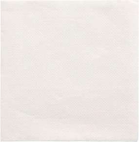 PAPSTAR Servietten Daily Collection weiß 2-lagig 24,0 x 24,0 cm, 20 St.